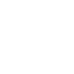BISON_Icons_Webseite_1