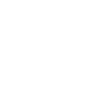 BISON_Icons_Webseite_2