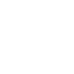 BISON_Icons_Webseite_3