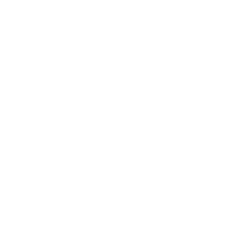 BISON_Icons_Webseite_4