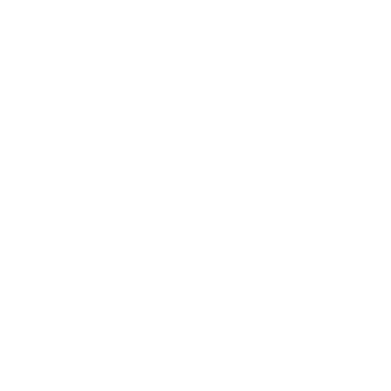 BISON_Icons_Webseite_5