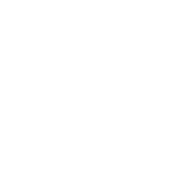 BISON_Icons_Webseite_7